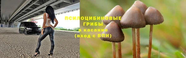 спайс Арсеньев